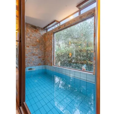 Nineta Villa *